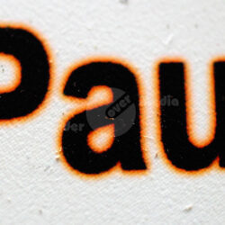 Nahaufnahme des Textes "Paul" auf weißem Hintergrund.