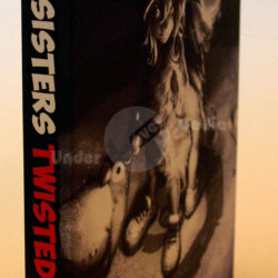 Seitenansicht des Spiels "Giana Sisters: Twisted Dreams" mit charakteristischen Illustrationen und markanten Schriftzügen.