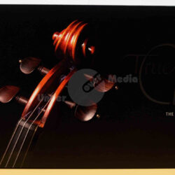 CD-Cover der Colorado Symphony::Ein close-up der Kopfplatte eines Violins mit dem Titel "True Classics" und dem Schriftzug "The Colorado Symphony" auf schwarzem Hintergrund.