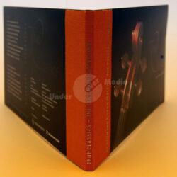 Buchcover mit Titel "True Classics - Die digitale Symphonie" und Abbildung einer Geige auf der Rückseite.